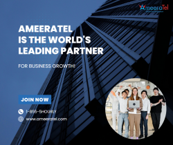 AmeeraTel is the world’s leading partner for business growth!