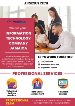 Top Rated Information Technology Companies in Jamaica