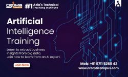 Best Artificial Intelligence Training Institute in Delhi
