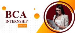 Learn Internship for BCA Students Online