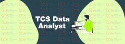 Best Guide to Your TCS Data Analyst Job | 4 Top Tips