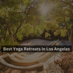 Best Yoga Retreats in Los Angeles