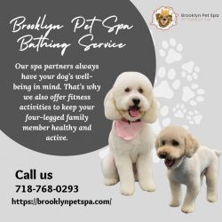 Book your Next Appointment For Brooklyn Pet Spa Bathing Service