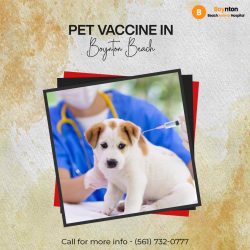 Pet vaccine in Boynton Beach
