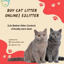 Buy Cat Litter Online| EZlitter