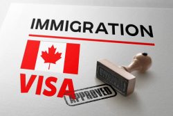 Canada immigration lawyers