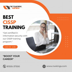 Best CISSP Training Provided By Network Kings