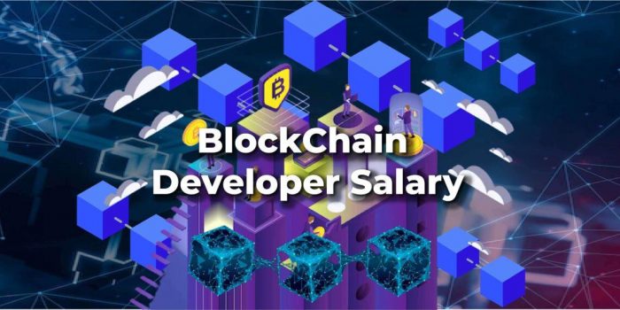 Top BlockChain Developer Salary for Beginners & Professionals | DataTrained