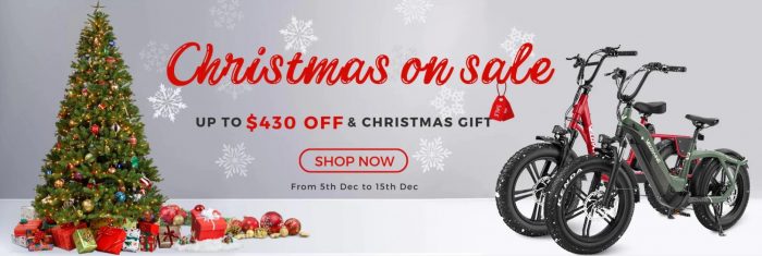 Velowave e-bike | Christmas on sale