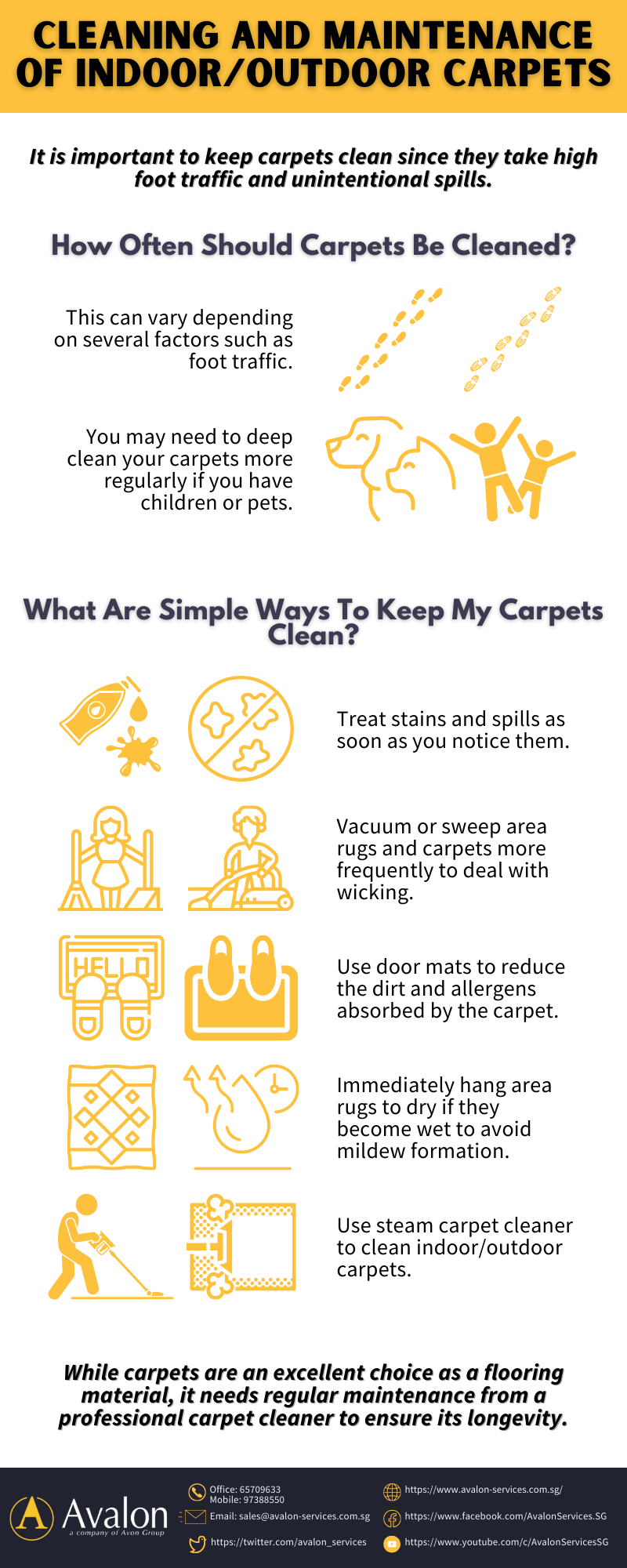 Cleaning and Maintenance of Indoor/Outdoor Carpets