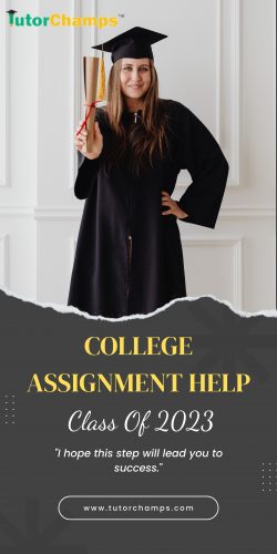 College Assignment Help by TutorChamps