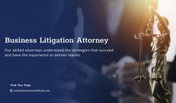 Commercial Litigation Services