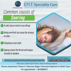 Common Causes of Snoring – Wellness Clinic