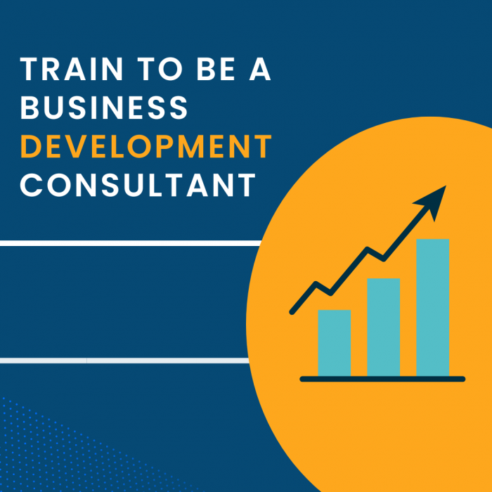 How To Become A Business Development Consultant