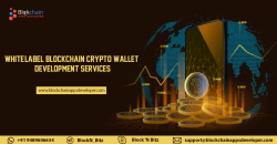 Cryptocurrency Wallet Development Company – BlockchainAppsDeveloper