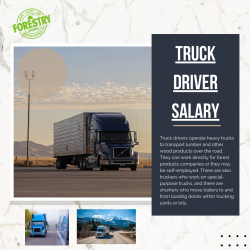 Discover Truck Driver Jobs Salary