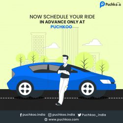 Find The Best Car Sharing App | Puchkoo