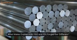 What Makes Duplex A182 F60 Different From F51 Forged Bar?