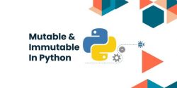 Learn Mutable and Immutable in Python | DataTrained