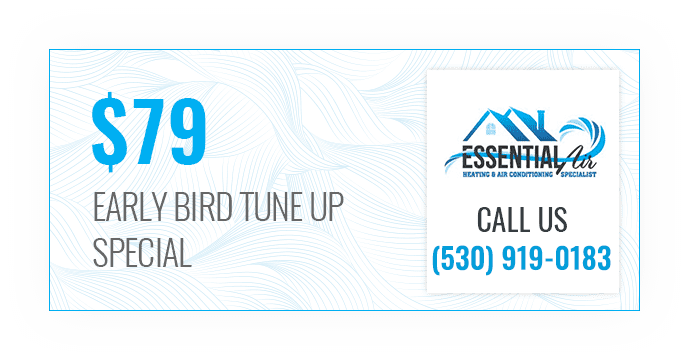 $79 Early Bird Tune Up Special