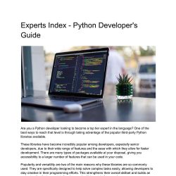 Experts Index – Python Developer’s Guide