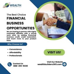 Financial Business Opportunities | Wealth Builders 365