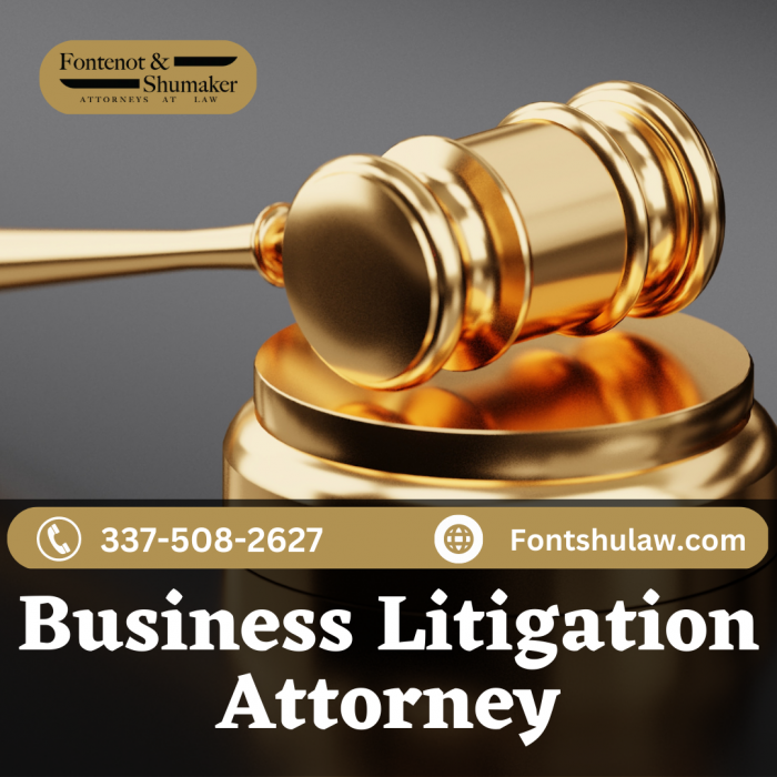 Find the Best Lawyer for your Organization