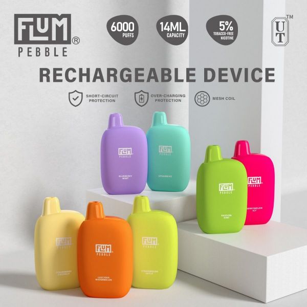 Flum Pebble Disposable Device 5% 6000 Puffs 5PK