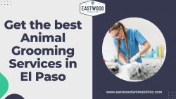 Get the best Animal Grooming Services in El Paso