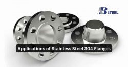 Applications of Stainless Steel 304 Flanges