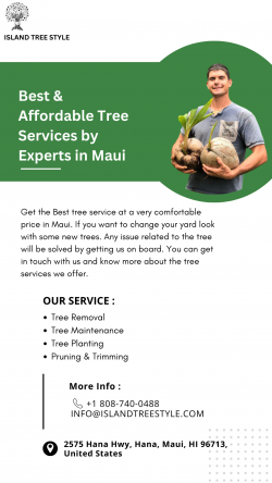 Professional Tree Services In Maui | Island Tree Style