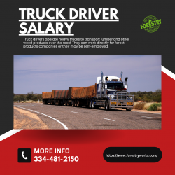 Highest Top In Truck Driver Jobs Salary