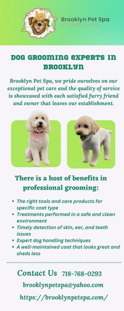 Hire Dog Grooming Experts in Brooklyn And Get Benefits