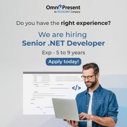 Hiring Senior .NET Developers