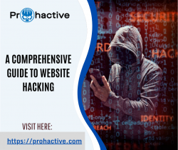 Secure Website Hacking Software: Pro Hactive