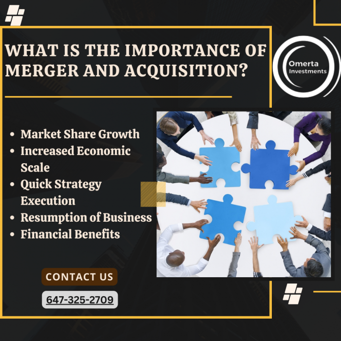 What Is The Importance Of Merger And Acquisition?