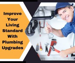Improve Your Living Standard With Plumbing Upgrades