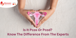 Is It Pcos Or Pcod? Know The Difference From The Experts
