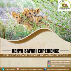 Kenya Holiday Safaris