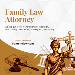 Knowledgeable Family Lawyer