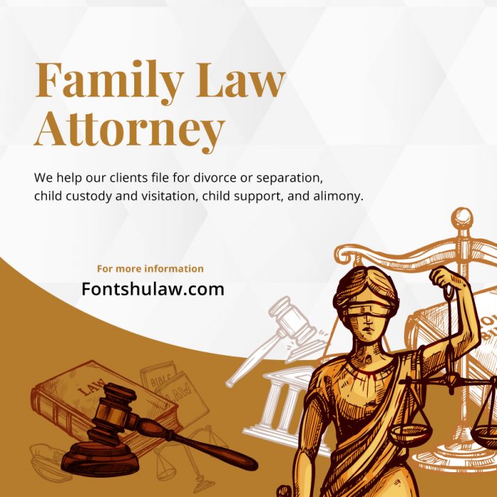 Knowledgeable Family Lawyer