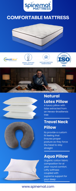 Buy Travel Neck Pillow Online in India