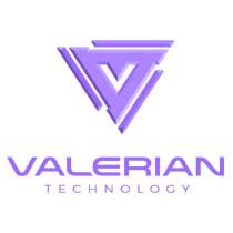 Fractional CIO | Valerian Technology