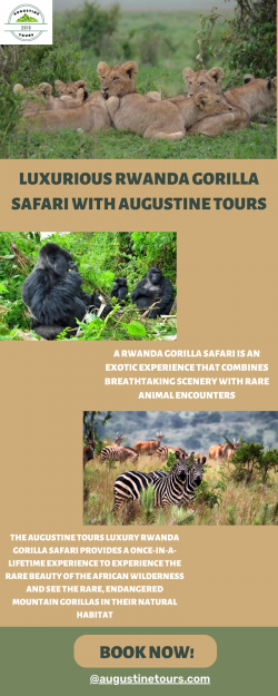 The Best Safari You Can Go On-It’s In The Heart Of Rwanda
