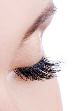 Are Pro Made Lash Fans Worth Your Consideration?