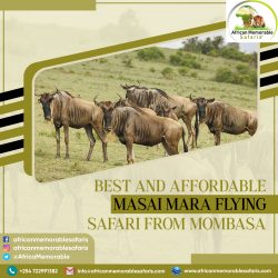 Masai Mara Flying Safari From Mombasa