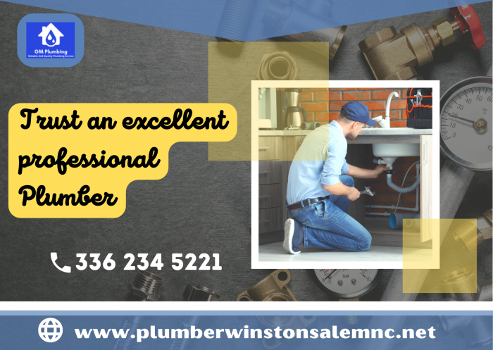 Trust an excellent professional plumber