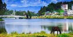 Best Places To Visit in Mirik For A Perfect Weekend Getaway