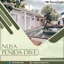 Nusa Penida Dive