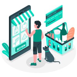 How can I use online grocery delivery software to manage my shopping?